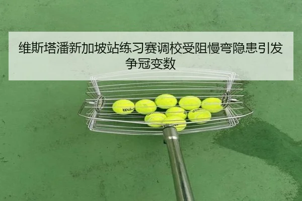 维斯塔潘新加坡站练习赛调校受阻慢弯隐患引发争冠变数